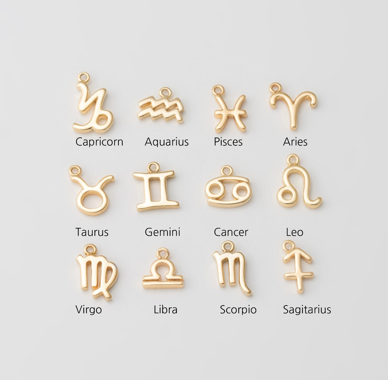 Zodiac Sign Charm