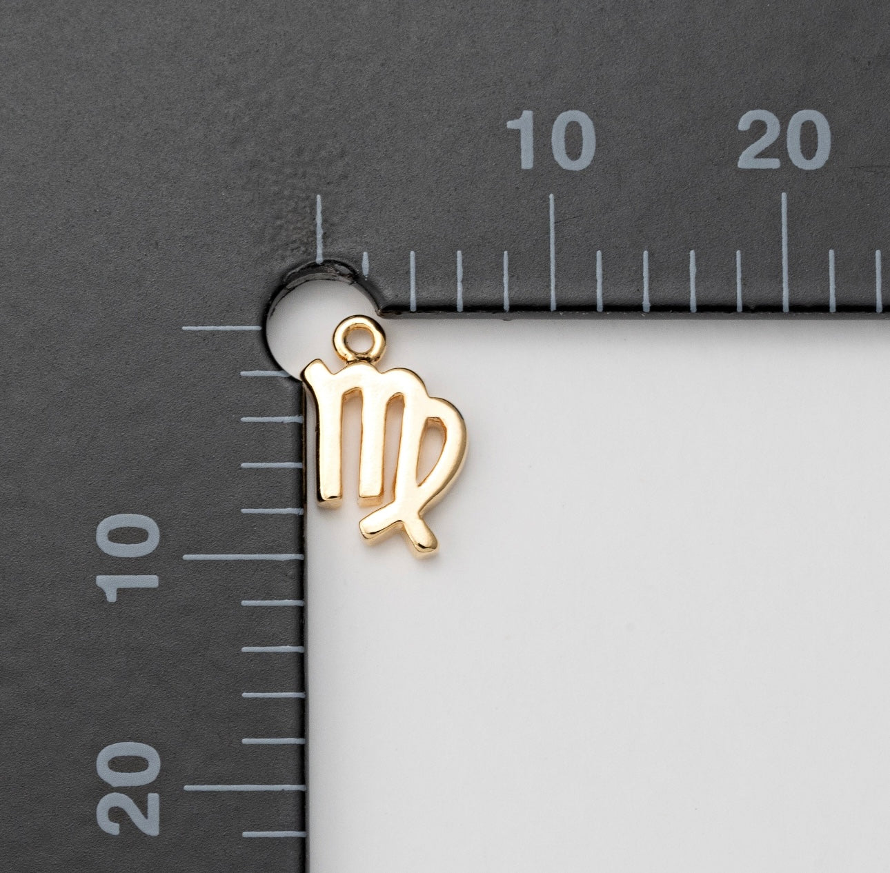 Zodiac Sign Charm